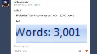 Essay应该怎样写?