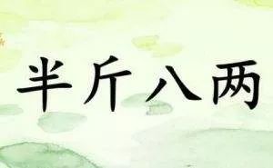 说人半斤八两是什么意思，夫妻半斤八两是什么意思