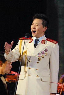 王宏伟唱的西部放歌唱到高音部是不是用假音唱的