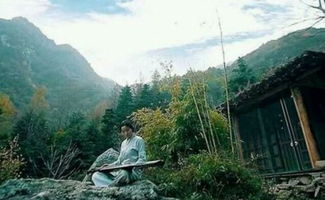 悠然见南山的前一句话，悠然见南山的前一句是什么作者