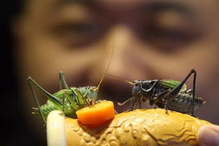 上面一个万下面一个虫念什么