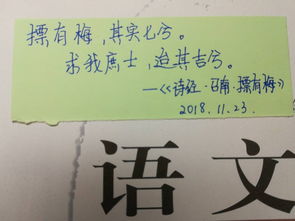 "迨"这个字是什么意思?