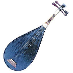 pipa怎么读英语，枇杷的功效与作用