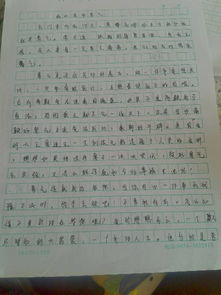 我找回了勇气作文500字，成长需要勇气作文500字