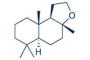 oxide什么意思，oxide:生存岛