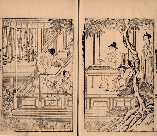 《琵琶记》的作者是﹖