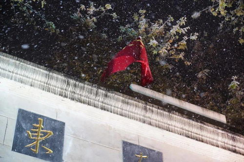 风掣红旗冻不翻的拼音，风掣红旗冻不翻修辞手法