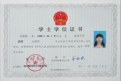 学历的十二个等级