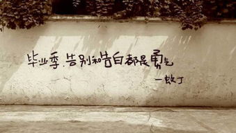 告白与告别 小说，告白与告别读后感