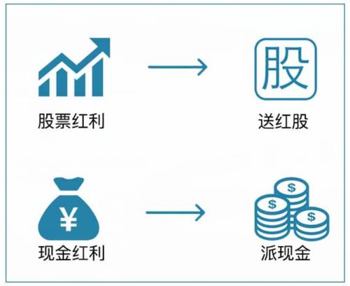 英语include和exclude区别是什么?