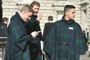 孔雀男是什么意思。