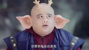 辰宿列张是什么意思
