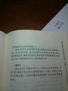 六年级自命题作文。要题目,可以没作文,题目要好