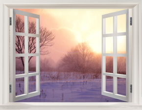 窗外作文400字初二写景抒情，教室的窗外作文400字