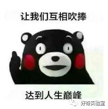 言重的含义，言重九鼎