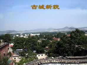 东阿镇领导班子名单，东阿镇天气预报