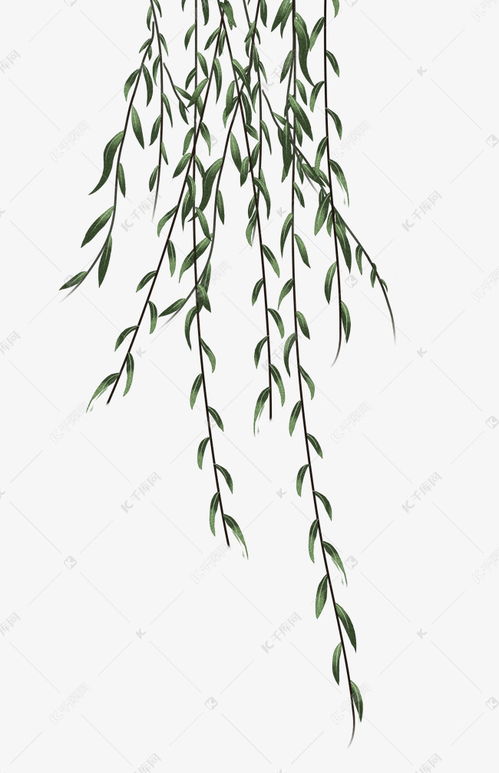 如何描写春天的柳树呢?