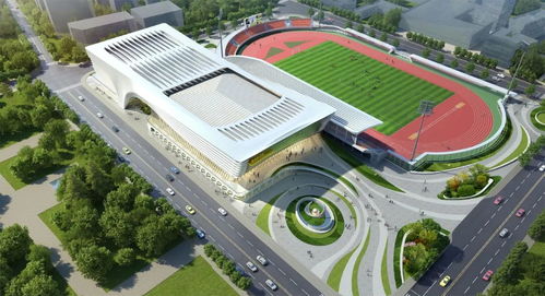 体育馆路小学几个班