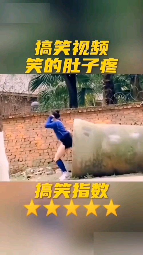 恶作剧歌曲，恶作剧之吻歌曲