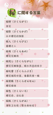 樱的词语和四字词语，樱字词语