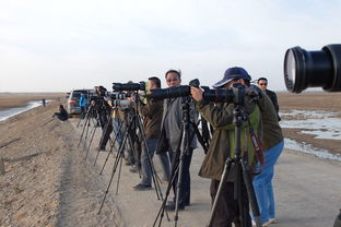 坚苦奋斗哪里错了，坚苦自立