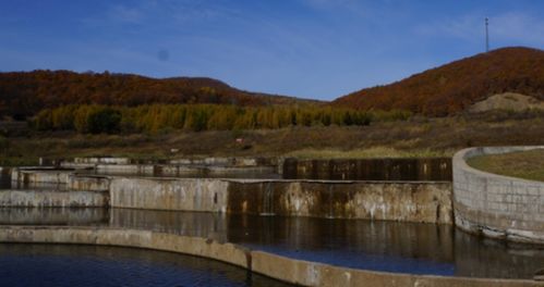 绥芬河天气预报今天查询，绥芬河天气预报牡丹江天气预报