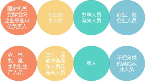 阅历用什么词语搭配，阅历经历人生感悟句子