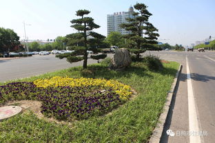 绿化北京打一人物，北京绿化公司有哪些