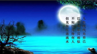 春江花月夜 一共有多少字去掉标点符号?