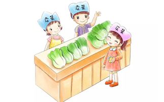 买菜作文500字优秀，买菜作文800字初中