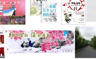 数学将军饮马是什么意思，饮马是什么意思解释