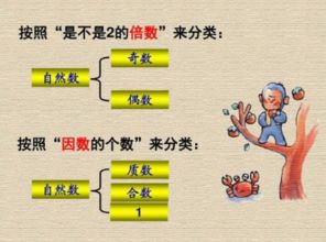 0到底是不是偶数???