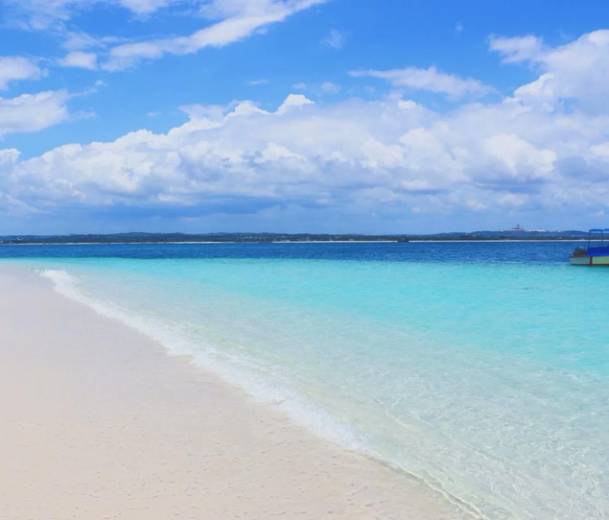 什么的梦乡填合适词语四年级，走月亮什么的梦乡