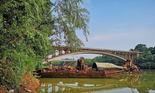 苏桥能种得变罗汉果吗