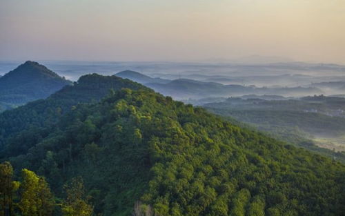 中山大尖山露营公园简介