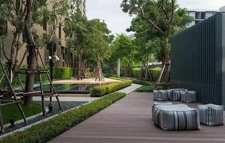 北京八大绿化树种