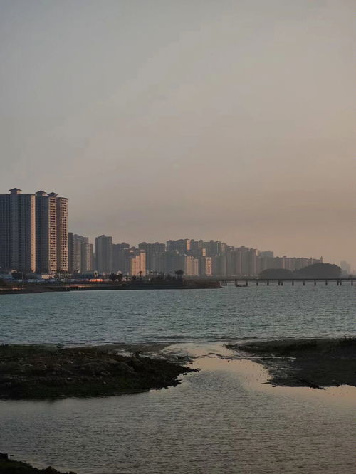 防城港野人谷最近一个星期的天气状况