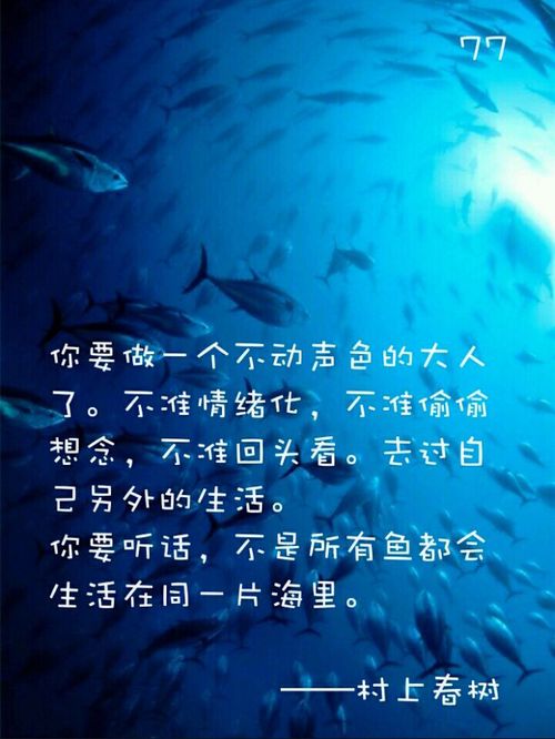 1海里等于多少公里?