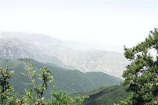 大尖山聚美水上乐园，大尖山森林公园简介