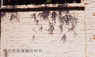 那段温暖的时光作文500字，那段温暖的时光作文开头