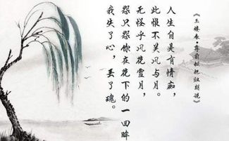 关于雾的诗句优美句子，关于雾的诗句现代诗