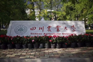 四川农业大学研究生院专业目录，四川农业大学研究生院在哪里