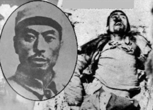 杨靖宇的故事简介50字，杨靖宇的故事演讲稿