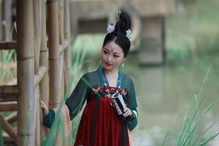 青青子衿,悠悠我心.纵我不往,子宁不嗣音是什么意思