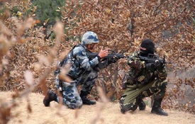 military是什么意思