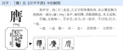 鹰组词和部首，膺组词和读音