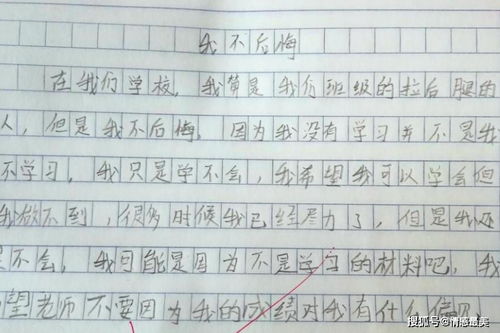 我后悔了作文500字，我后悔了作文350字