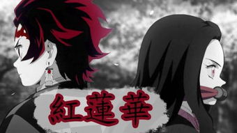 佛教的白莲 黑莲 红莲分别代表了什么意思