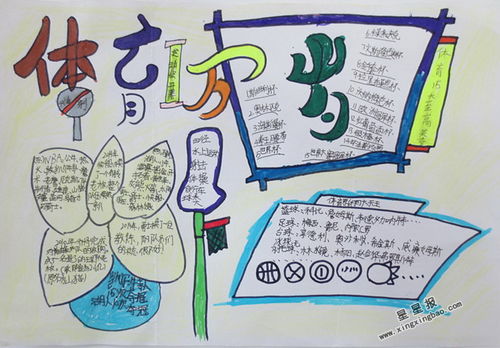 关于体育的手抄报大全四年级简单，关于体育的手抄报大全模板