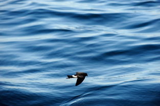 旷亮无比的天空,波光粼粼的湖面仿佛看到了什么春景图，旷亮无比的天空仿写三个词语